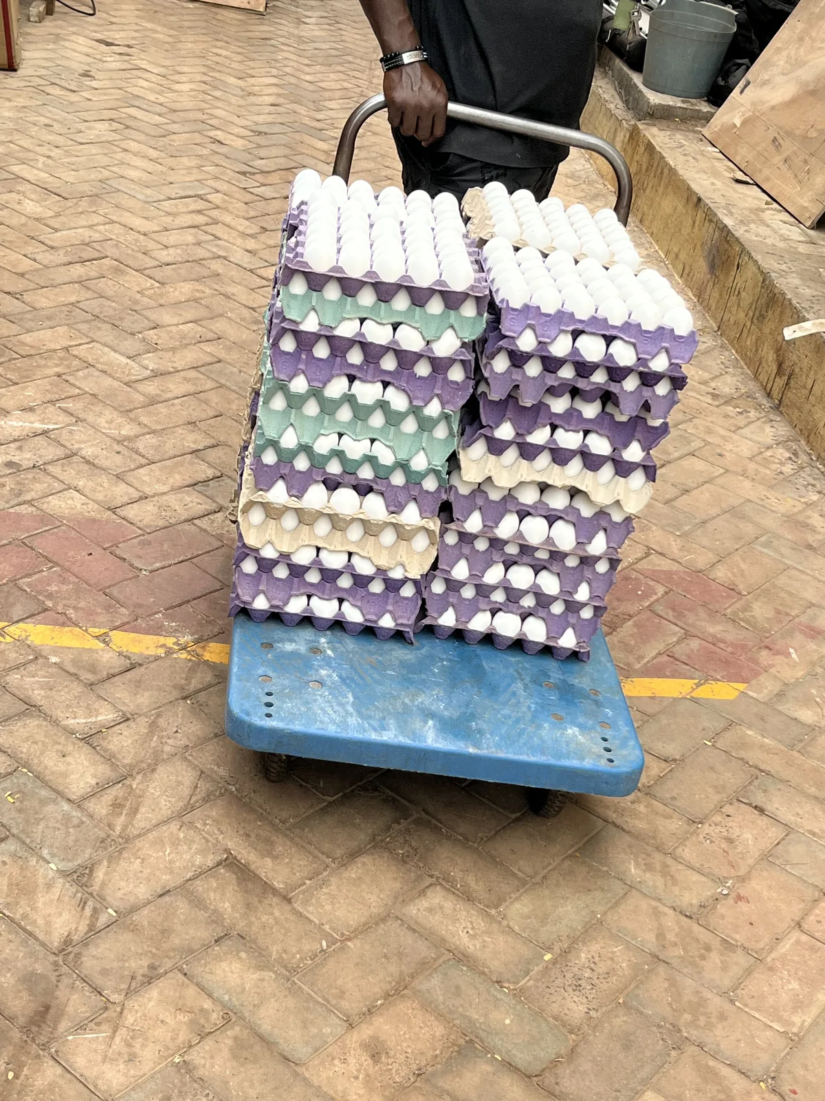 Stacked egg trays being wheeled out on a flatbed trolley along a paved walkway for a delivery run