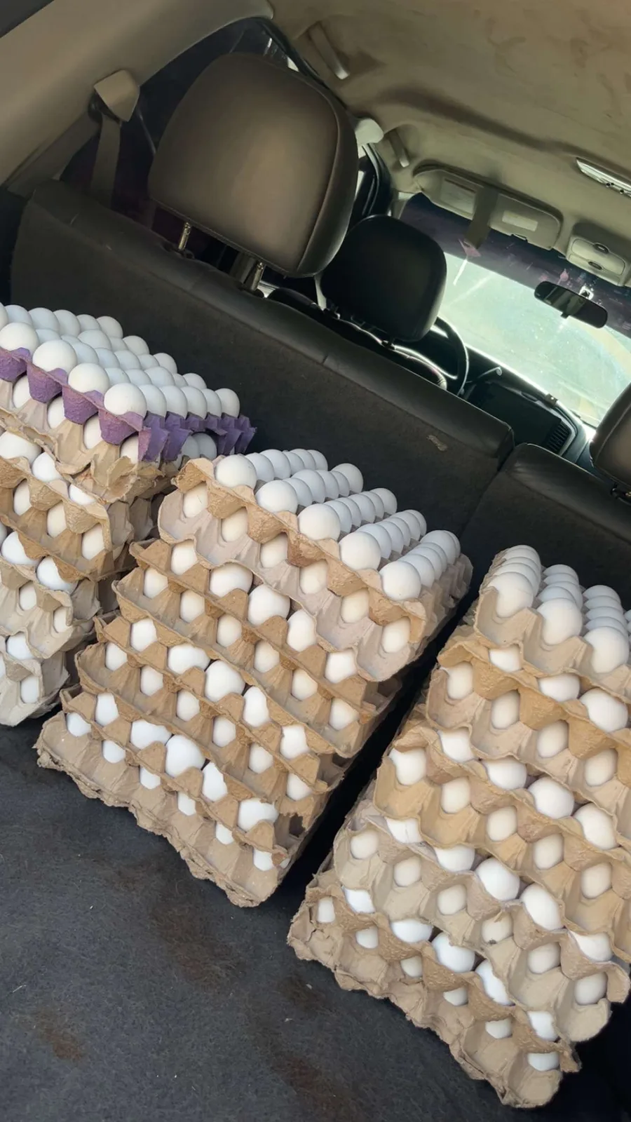 Stacks of egg trays loaded into the rear of a delivery vehicle, ready to depart