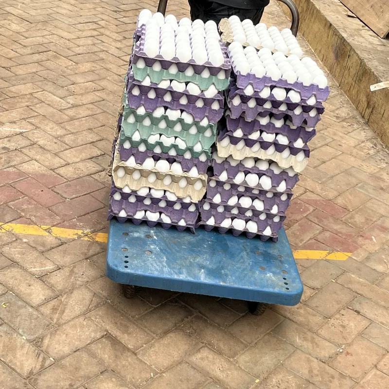 Small Grade A Eggs — grade A, Small, 30 eggs per crate