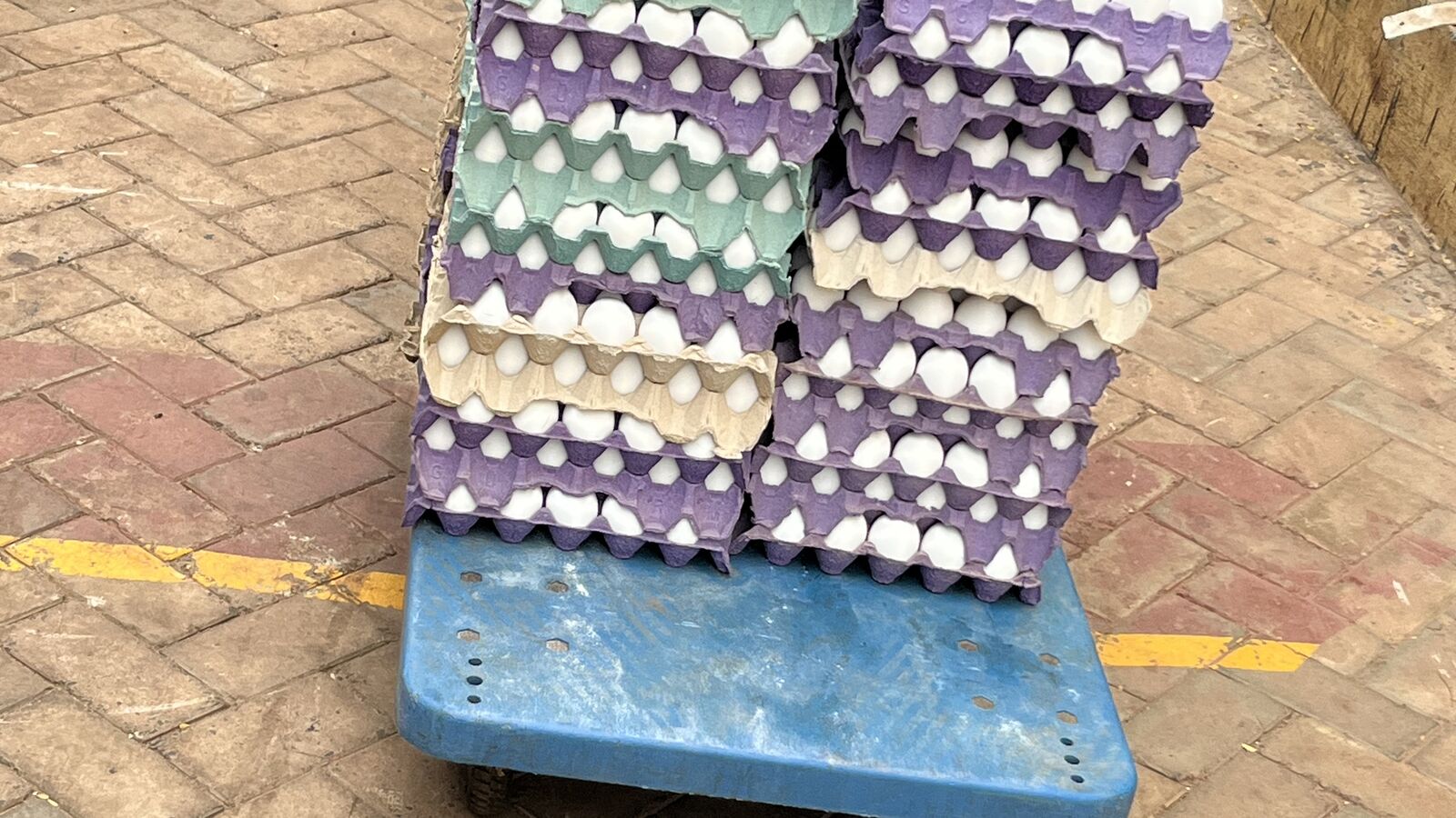 Trays of fresh grade-A eggs stacked for delivery